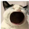 cxllmeduang0
