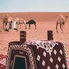 THAMERA 🐪