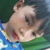 bayotko49