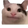 reoxi58