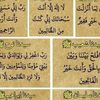 houzaifa179