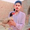 zubairgujjar529529