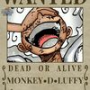mahmdwiseboy1