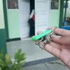 pencintalolifarzz