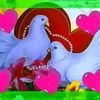 user8741124376005