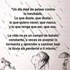 user4930016170104