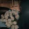 angelgelechka