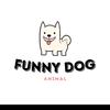 FunnyCuteDogg