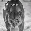 amin_official42