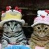 jessigrl_