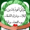 user39044005082741