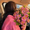 saraislam7147