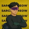 sargentmeow11