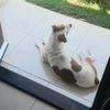 user9392619810081