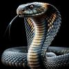 blackcobra083