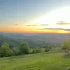 floryionela