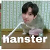 lamismisimadehanjisung