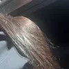 jess142x