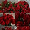 user6109586128034