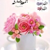 salm.ashraf0