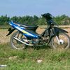 cepott005