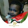 shams3275