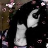 miau.unu_