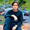 naseeb.malang79