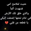 nouralsamarrai0