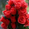 myat.123456789