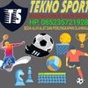 teknosport3