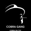 cobra_gang_on_top