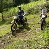 franciscol014
