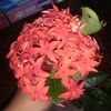 sadia.akter90003