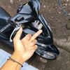 zy._nih