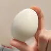 kohshjnz047
