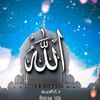 hasnahammadu