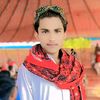 aliahmedsharkgm