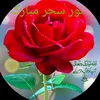 murad.ali.murad8