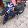 phan.trinh50