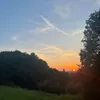 pialein258