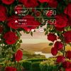 ibrahim.zayeed