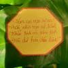 n.annhien9