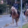 hannibannani82