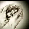 user3073161350428
