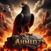 ahmed.helaly2