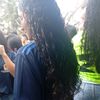 sofi2025_m