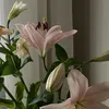 arwa.alharbii