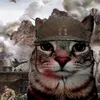 foxzgames1