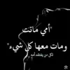 user8258877845798